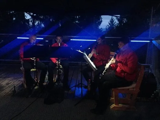 27.8.2014 / Večerní koncert, Stezka korunami stromů, Kramolín u Lipna nad Vltavou