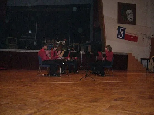 18.1.2008 / Ples, vystoupení, Strunkovice nad Blanicí