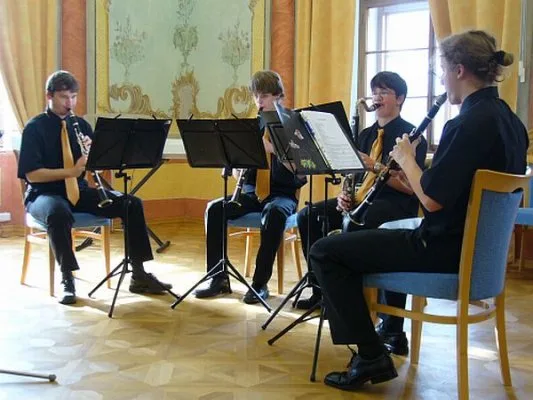 7.11.2008 / Přehlídka komorních souborů, Nové Hrady