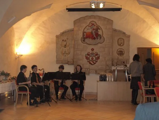 4.12.2008 / Neziskové organizace, Radniční sál, Prachatice